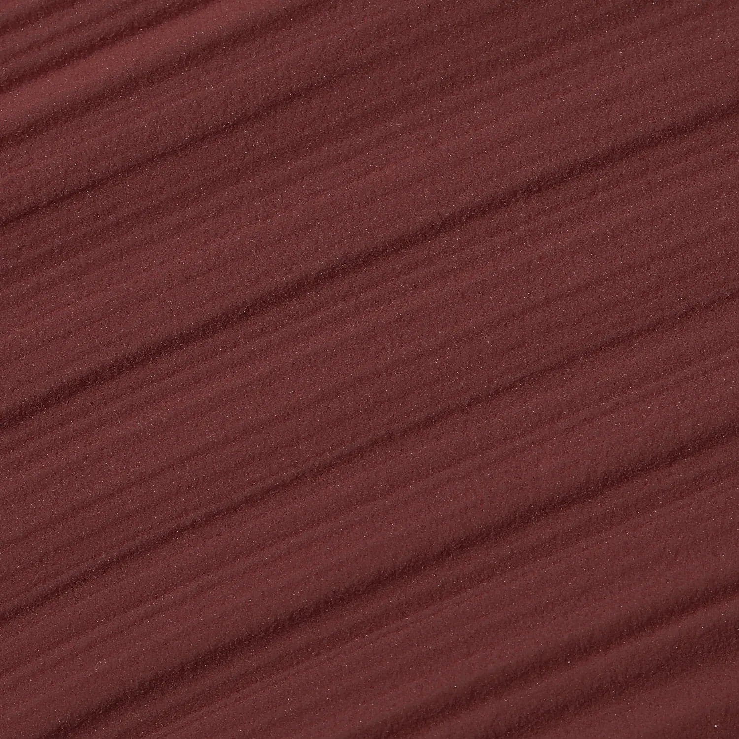 Coconut - Image 3