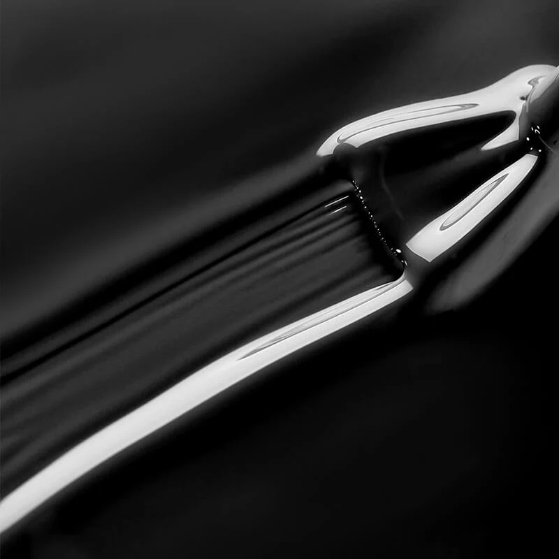 Ebony - Image 5