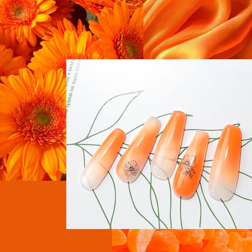 Orange - Image 3