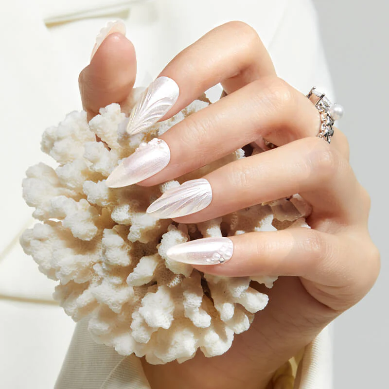 White Shell - Image 3